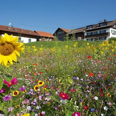 Panoramablick , Hof Alpenseeblick, Nesselwangattleseeallgaeu Apartment Nesselwang